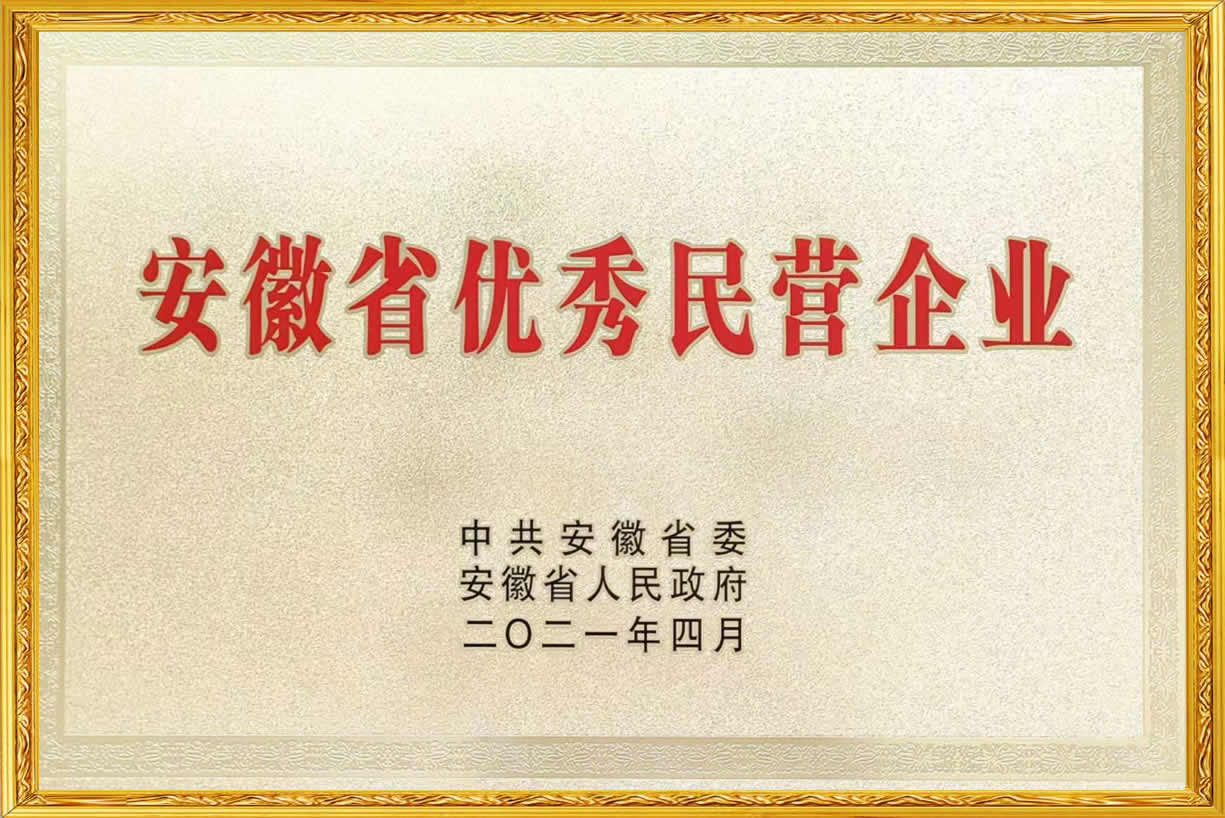 2021年安徽省优秀民营企业